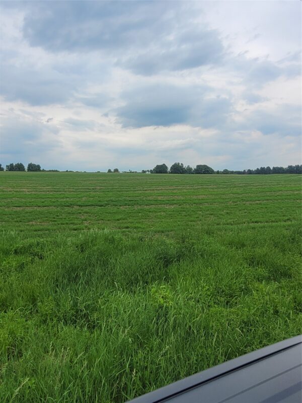 00 County Hwy B Lot 2, Neillsville WI 54456 - Land house for sale - MLS #1597939 - image5