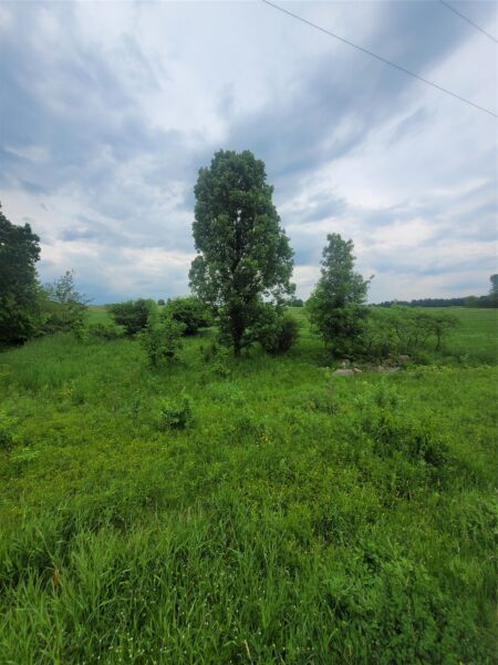 00 County Hwy B Lot 2 