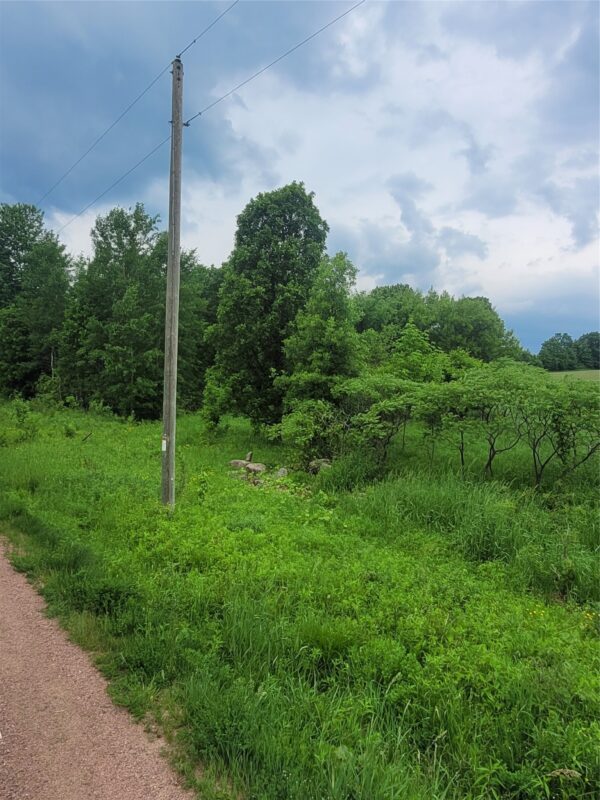 00 County Hwy B Lot 2, Neillsville WI 54456 - Land house for sale - MLS #1597939 - image7