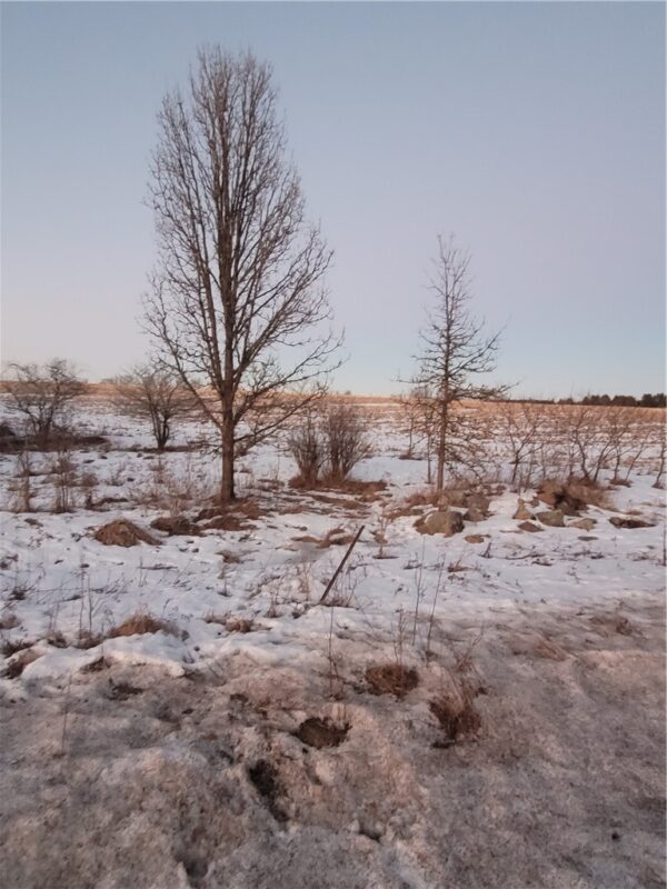 00 County Hwy B Lot 2, Neillsville WI 54456 - Land house for sale - MLS #1597939 - image9