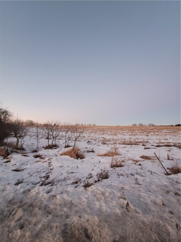 00 County Hwy B Lot 2, Neillsville WI 54456 - Land house for sale - MLS #1597939 - image10