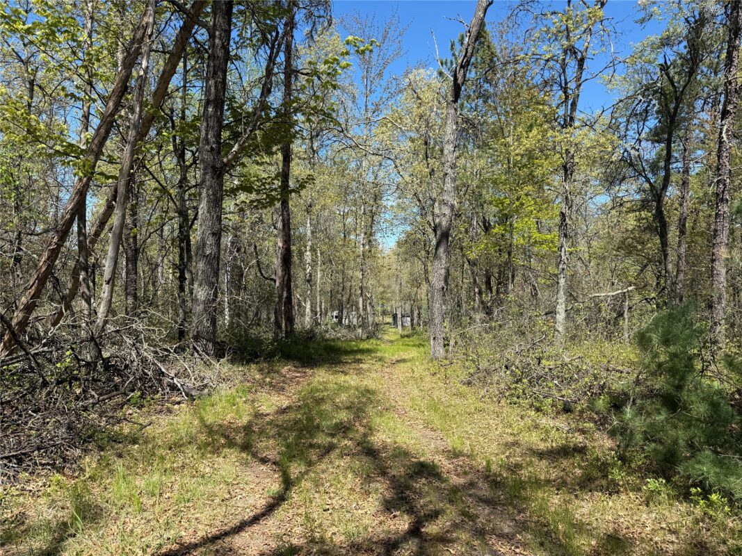 00 County Line Rd, Minong WI 54859 - Land house for sale - MLS #1601512 - image32