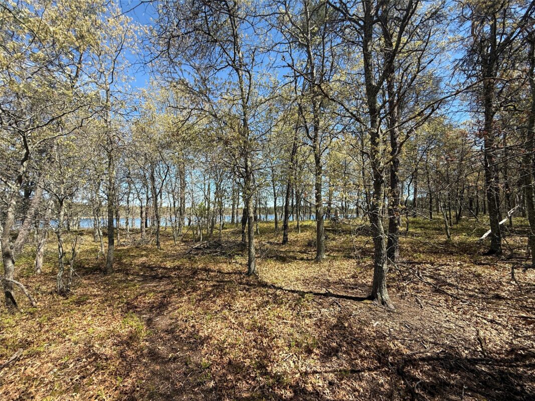 00 County Line Rd, Minong WI 54859 - Land house for sale - MLS #1601512 - image33