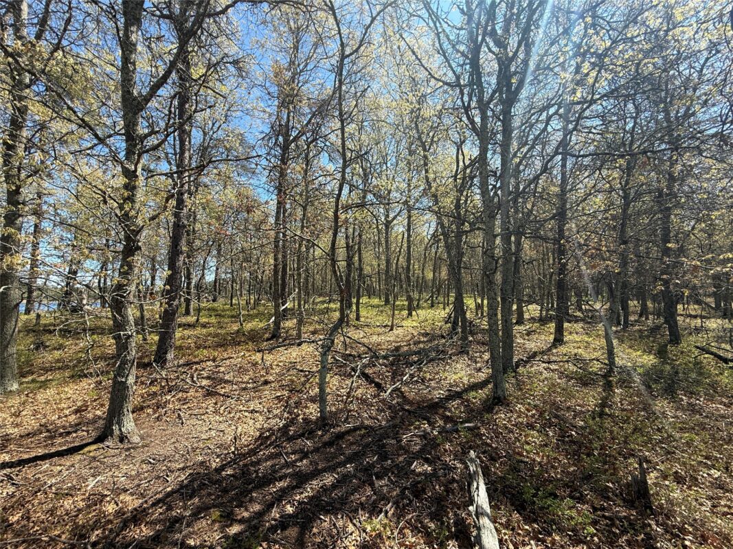 00 County Line Rd, Minong WI 54859 - Land house for sale - MLS #1601512 - image34