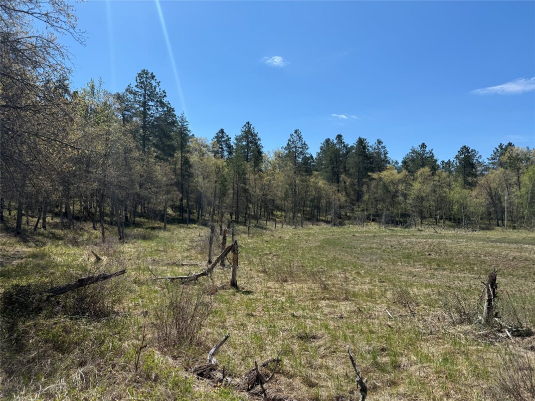 00 County Line Rd, Minong WI 54859 - Land house for sale - MLS #1601512 - image35