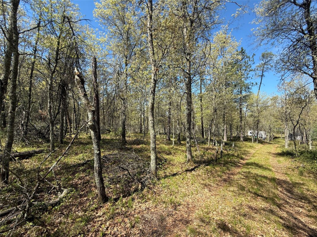 00 County Line Rd, Minong WI 54859 - Land house for sale - MLS #1601512 - image49