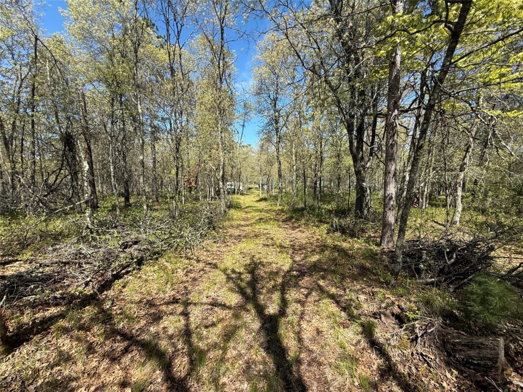 00 County Line Rd, Minong WI 54859 - Land house for sale - MLS #1601512 - image50