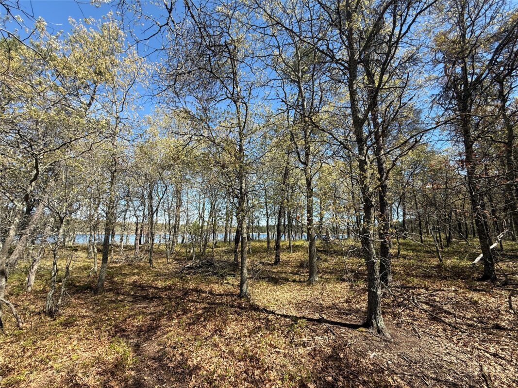 00 County Line Rd, Minong WI 54859 - Land house for sale - MLS #1601512 - image9