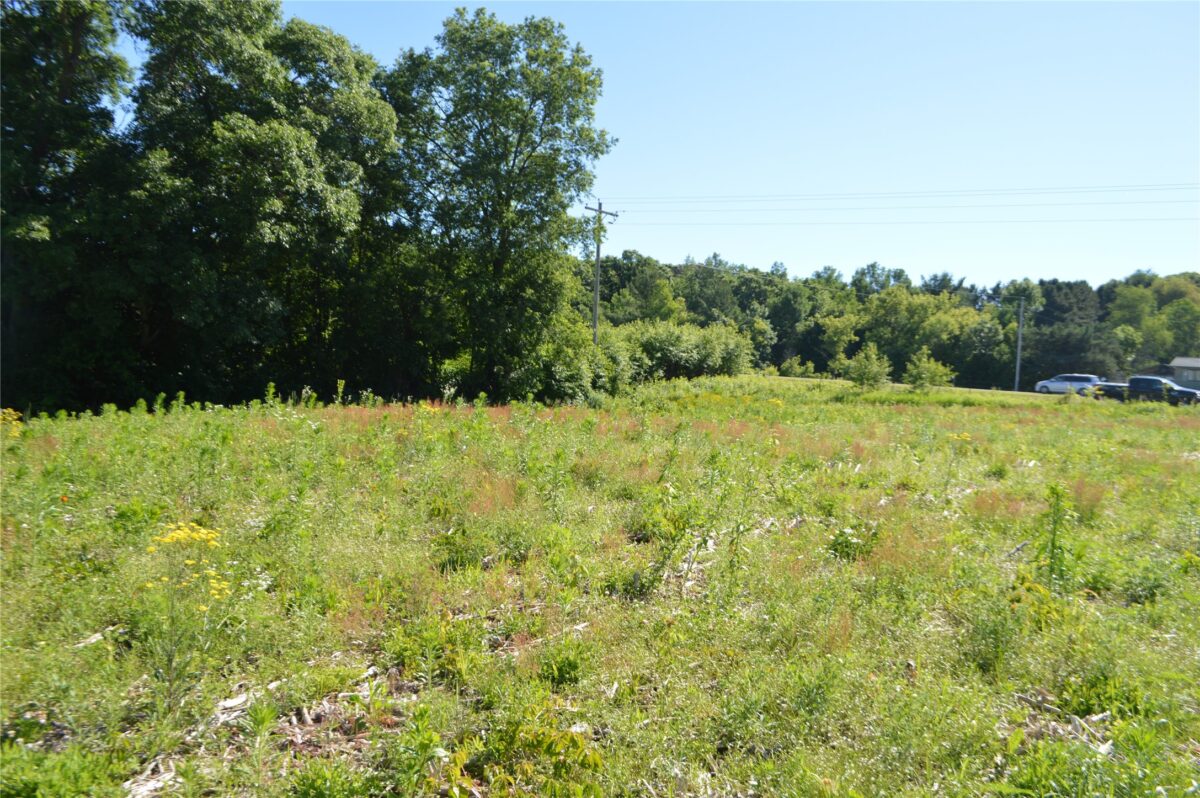00 Highway SS, Cameron WI 54822 - Land house for sale - MLS #1600108 - image11