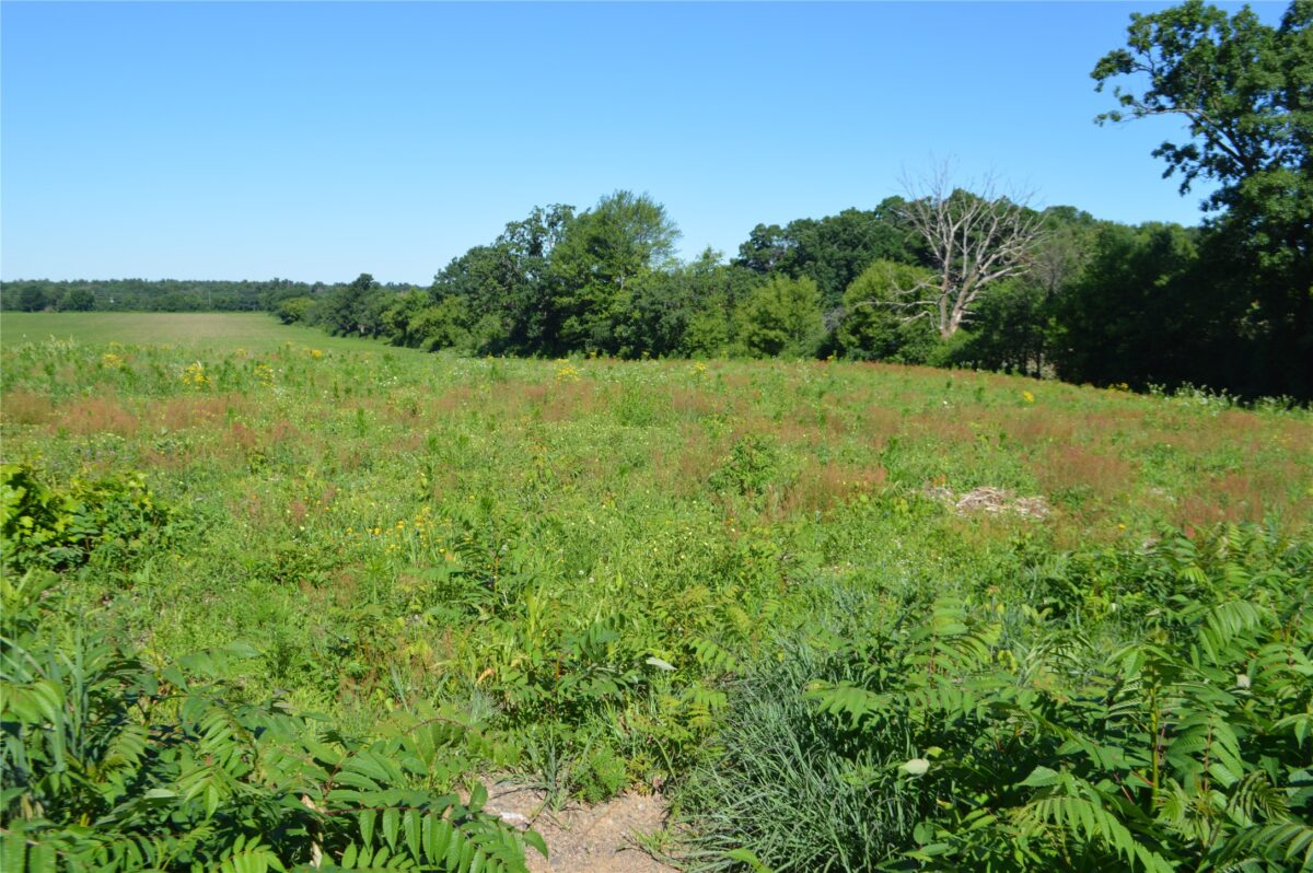 00 Highway SS, Cameron WI 54822 - Land house for sale - MLS #1600108 - image3