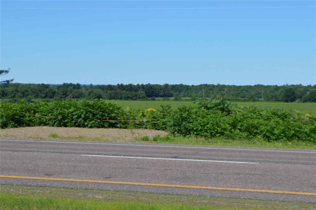 00 Highway SS, Cameron WI 54822 - Land house for sale - MLS #1600108 - image5