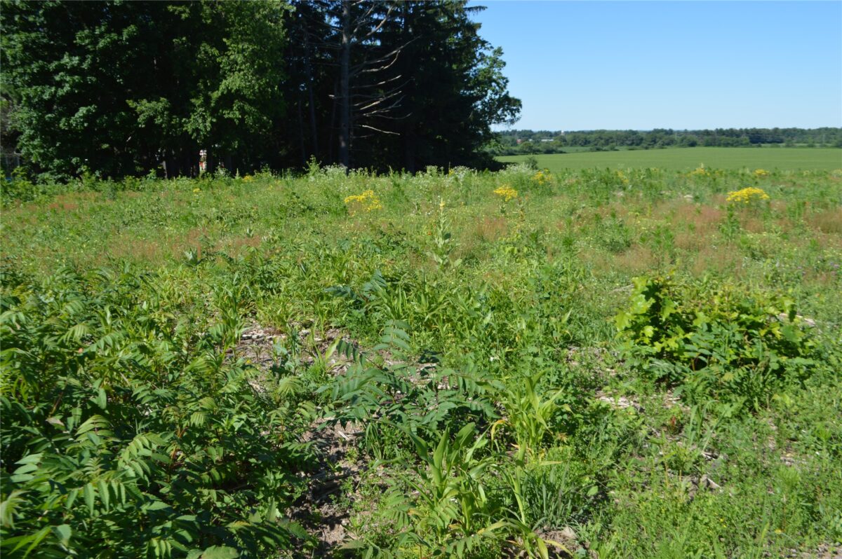 00 Highway SS, Cameron WI 54822 - Land house for sale - MLS #1600108 - image6