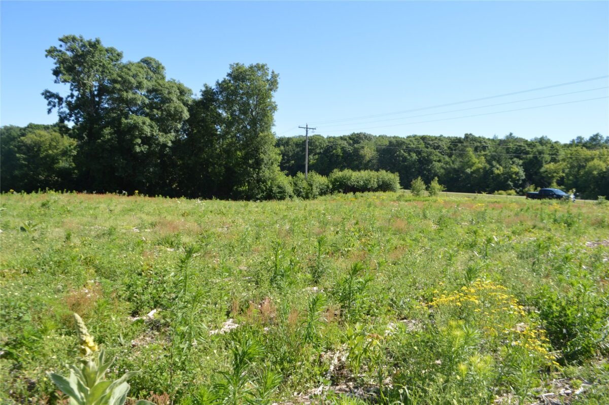 00 Highway SS, Cameron WI 54822 - Land house for sale - MLS #1600108 - image7