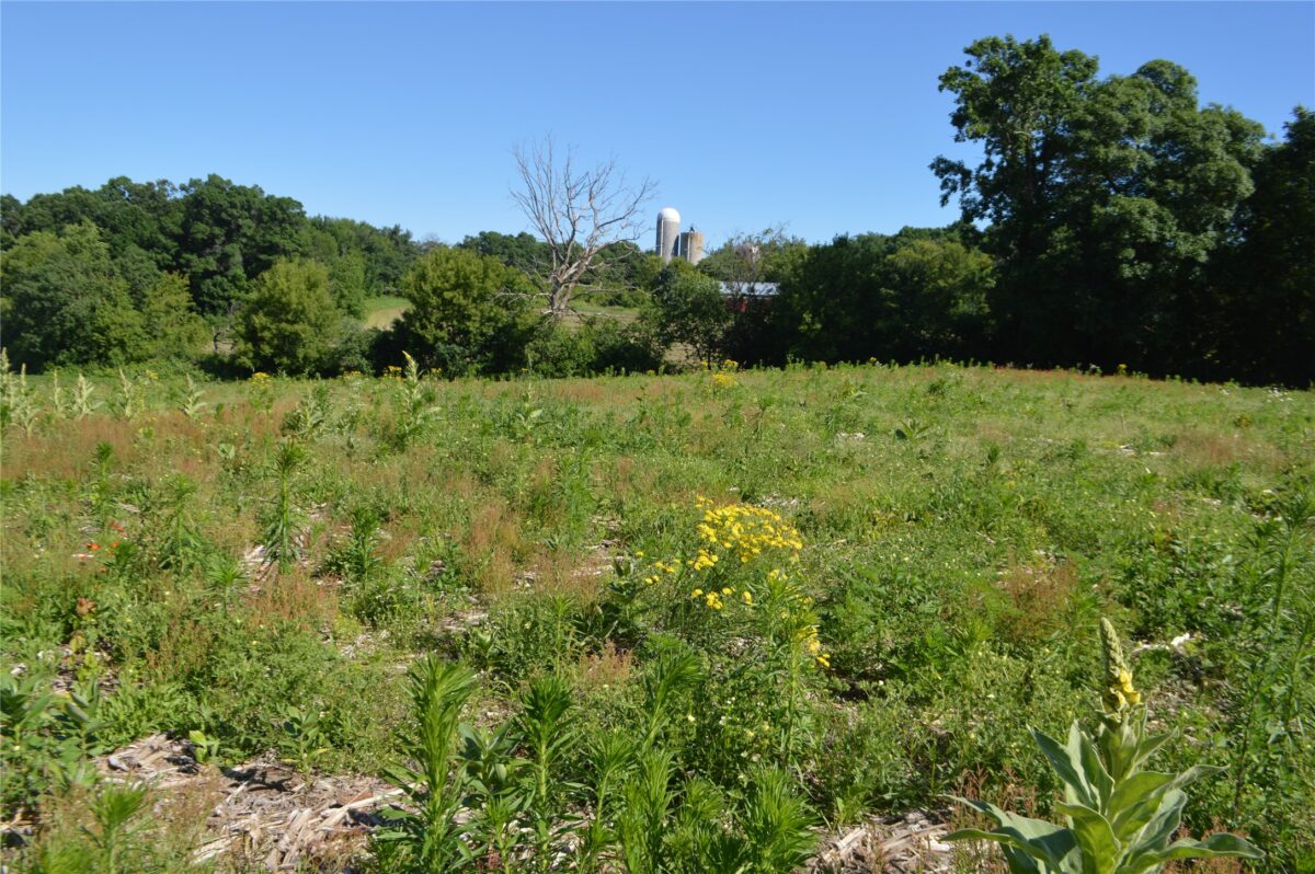 00 Highway SS, Cameron WI 54822 - Land house for sale - MLS #1600108 - image8
