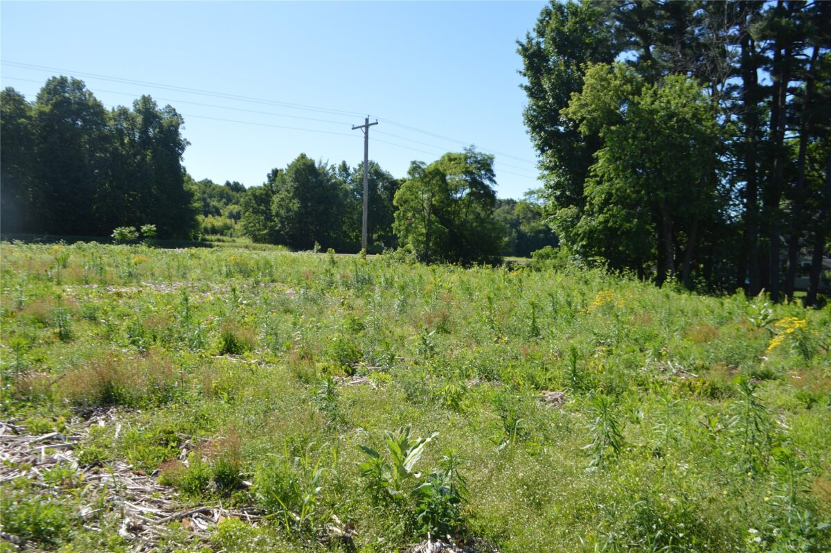 00 Highway SS, Cameron WI 54822 - Land house for sale - MLS #1600108 - image9
