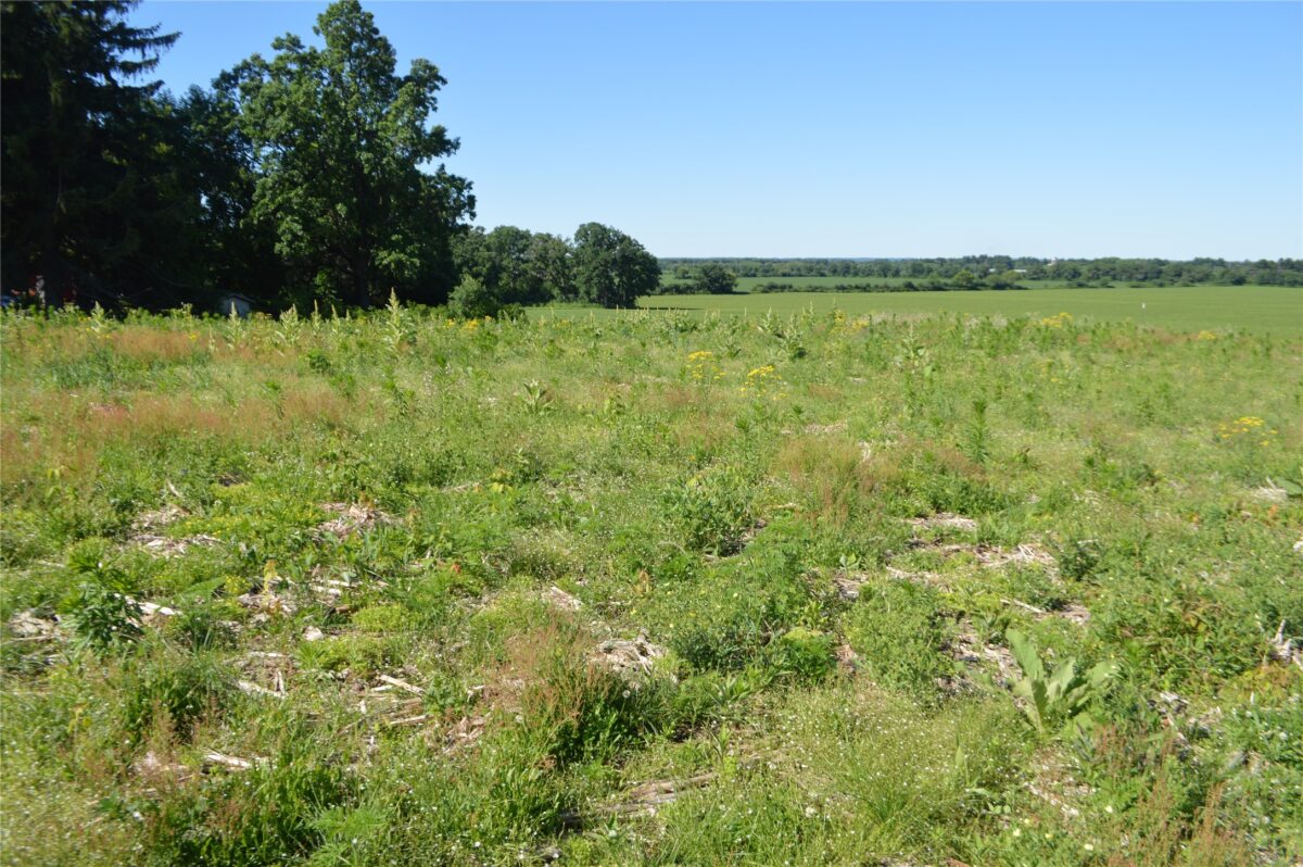 00 Highway SS, Cameron WI 54822 - Land house for sale - MLS #1600108 - image10