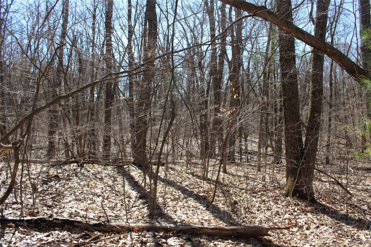 00 Resewood Ave. Lot - 2, Neillsville WI 54456 - Land house for sale - MLS #1602499 - image4