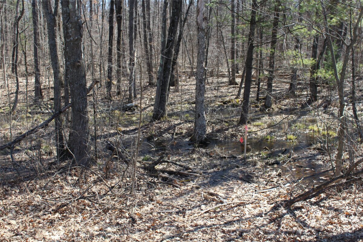 00 Resewood Ave. Lot - 2, Neillsville WI 54456 - Land house for sale - MLS #1602499 - image5