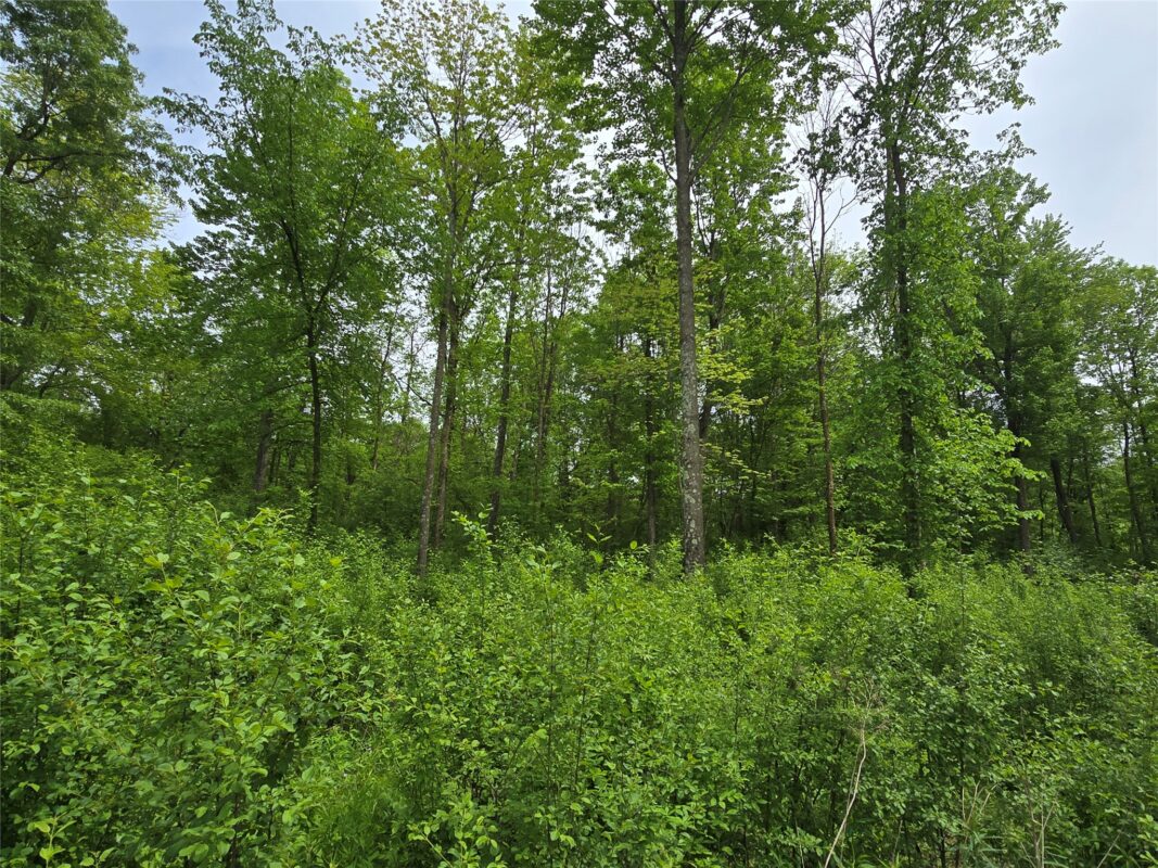 000 27th Street, Chetek WI 54728 - Land house for sale - MLS #1601749 - image2