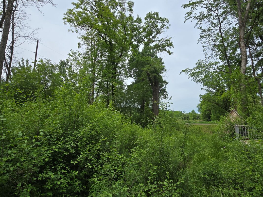 000 27th Street, Chetek WI 54728 - Land house for sale - MLS #1601749 - image3