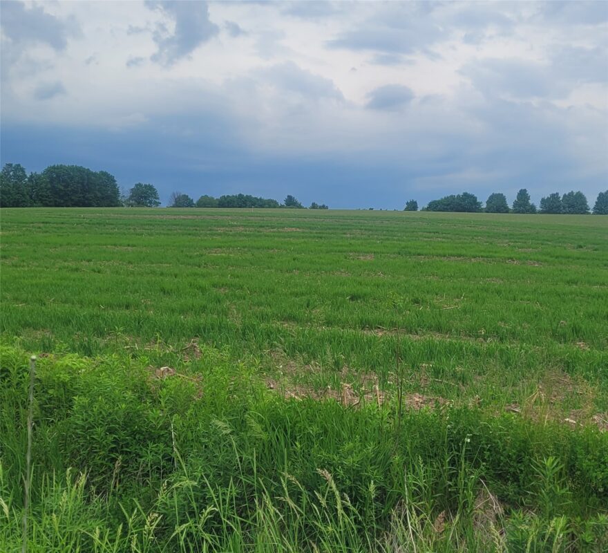 000 County Hwy B Lot 3, Neillsville WI 54456 - Land house for sale - MLS #1597944 - image2