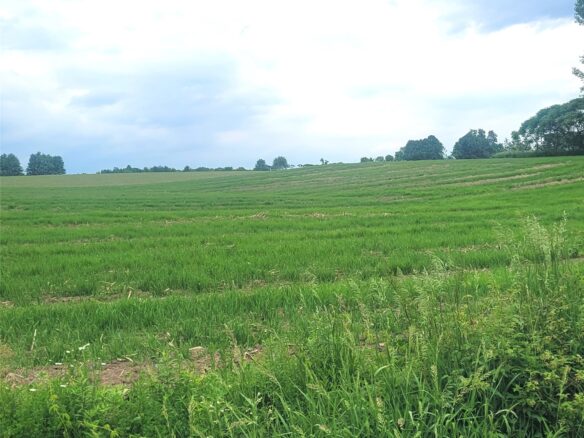 000 County Hwy B Lot 3, Neillsville WI 54456 - Land house for sale - MLS #1597944 - image1
