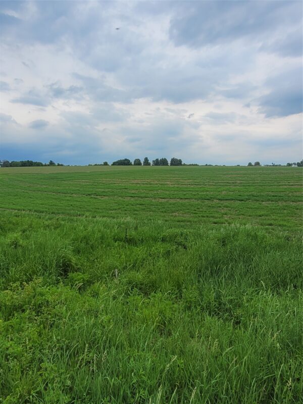 000 County Hwy B Lot 3, Neillsville WI 54456 - Land house for sale - MLS #1597944 - image3