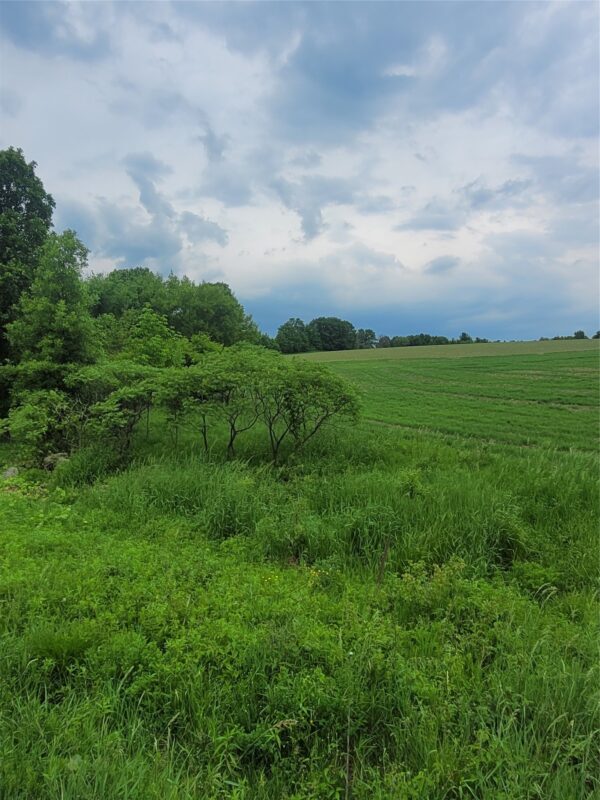 000 County Hwy B Lot 3, Neillsville WI 54456 - Land house for sale - MLS #1597944 - image4