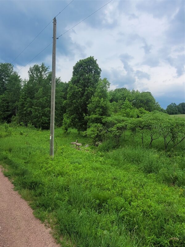 000 County Hwy B Lot 3, Neillsville WI 54456 - Land house for sale - MLS #1597944 - image5