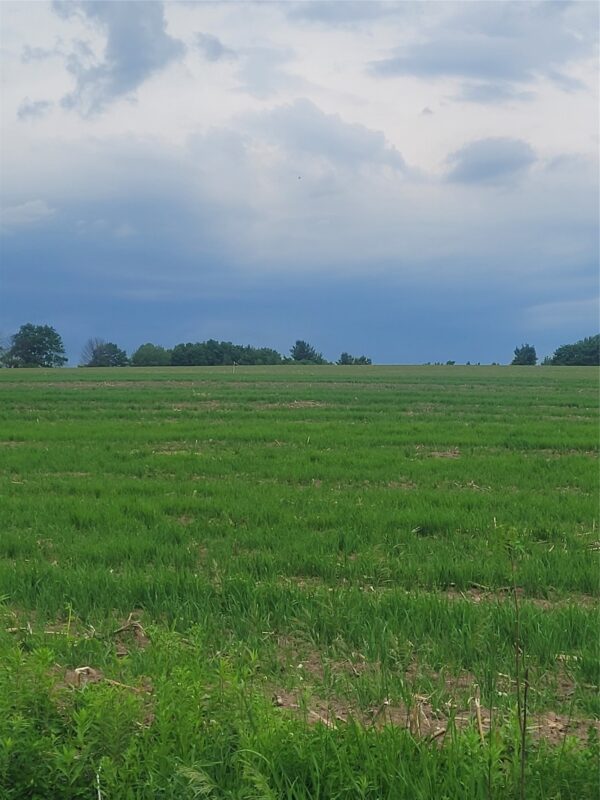 000 County Hwy B Lot 3, Neillsville WI 54456 - Land house for sale - MLS #1597944 - image8
