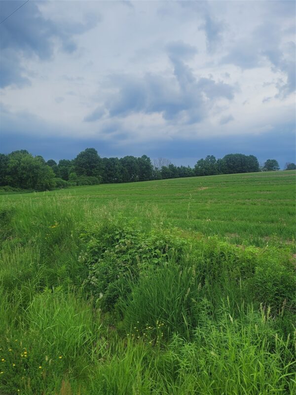000 County Hwy B Lot 3, Neillsville WI 54456 - Land house for sale - MLS #1597944 - image9