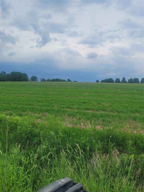 000 County Hwy B Lot 3, Neillsville WI 54456 - Land house for sale - MLS #1597944 - image10