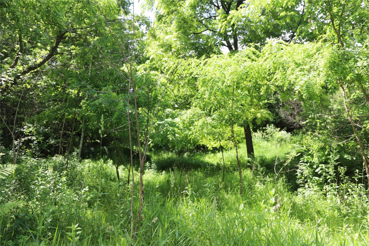 0000 Baker Ave, Amery WI 54001 - Land house for sale - MLS #1602378 - image14