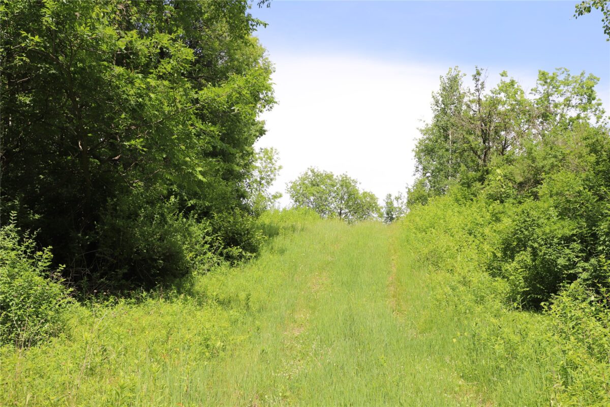 0000 Baker Ave, Amery WI 54001 - Land house for sale - MLS #1602378 - image16