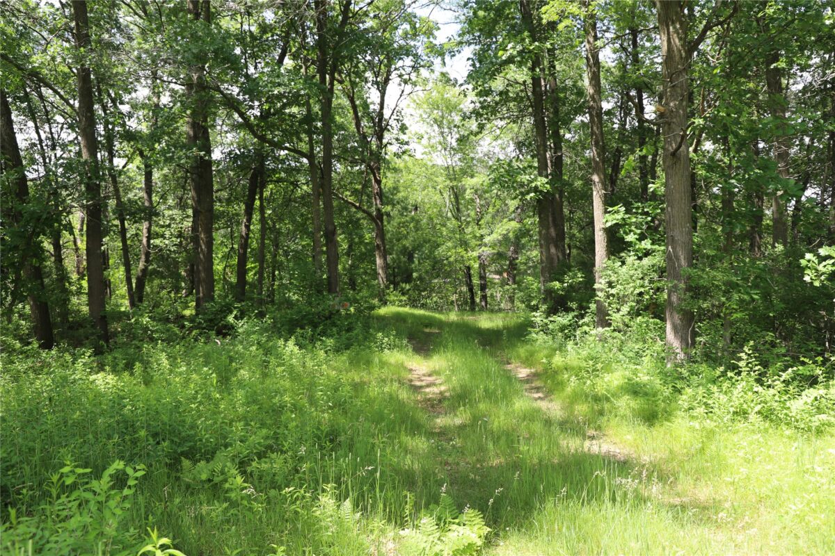 0000 Baker Ave, Amery WI 54001 - Land house for sale - MLS #1602378 - image19