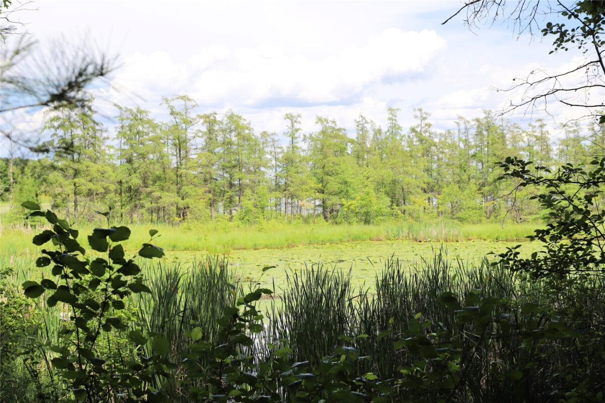 0000 Baker Ave, Amery WI 54001 - Land house for sale - MLS #1602378 - image22