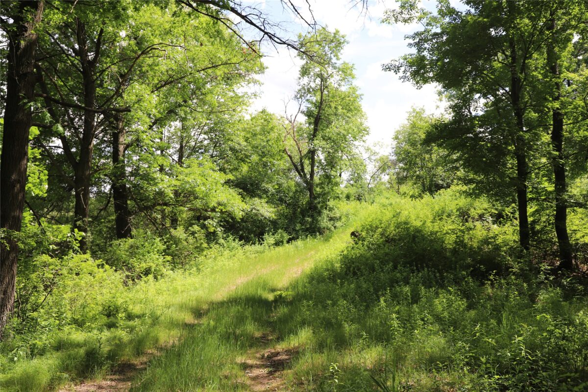 0000 Baker Ave, Amery WI 54001 - Land house for sale - MLS #1602378 - image25