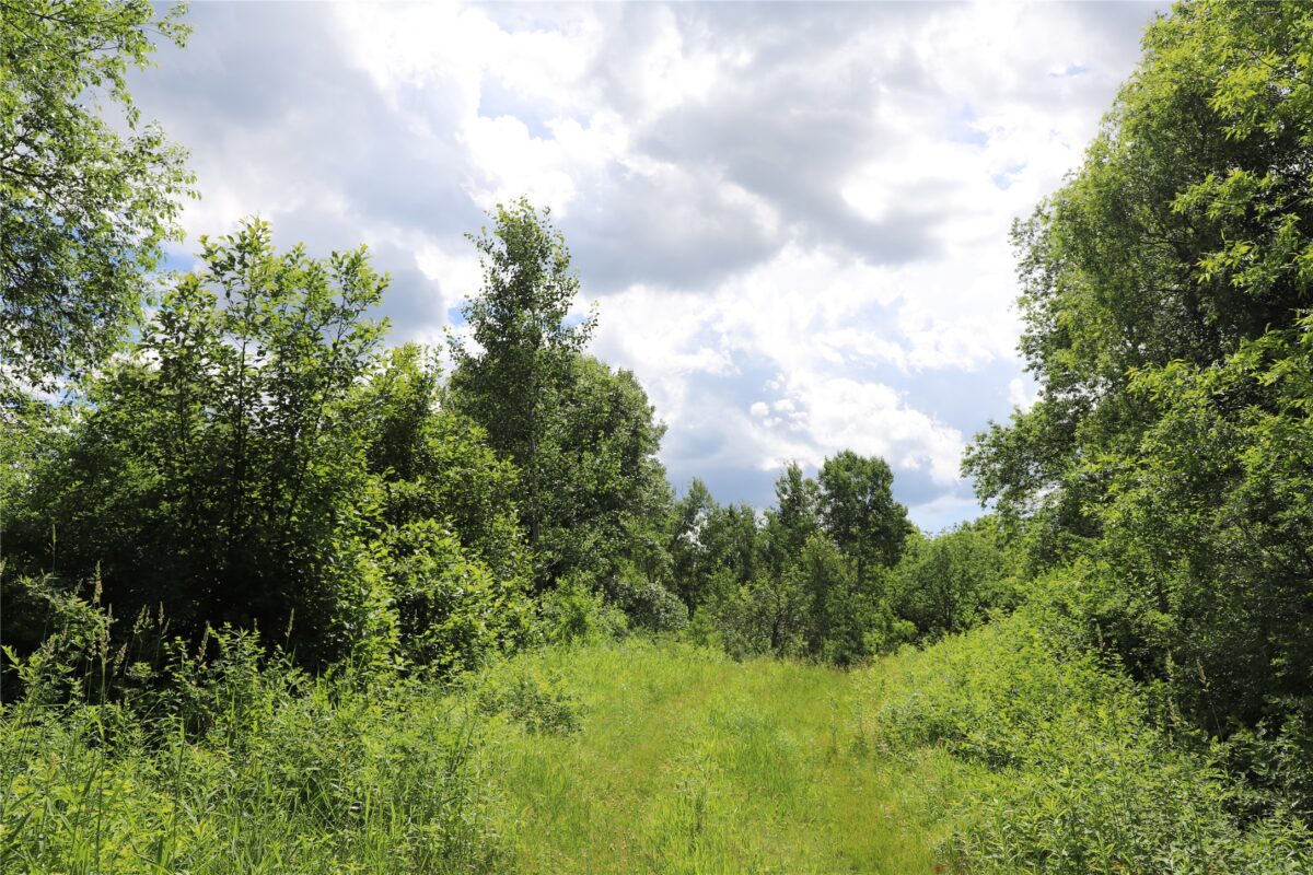 0000 Baker Ave, Amery WI 54001 - Land house for sale - MLS #1602378 - image26