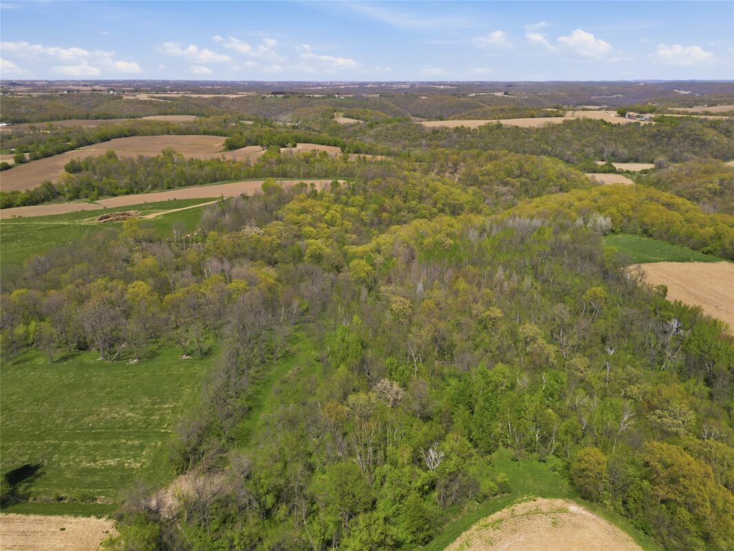 0000 Cty Highway I, Pepin WI 54759 - Land house for sale - MLS #1602700 - image2
