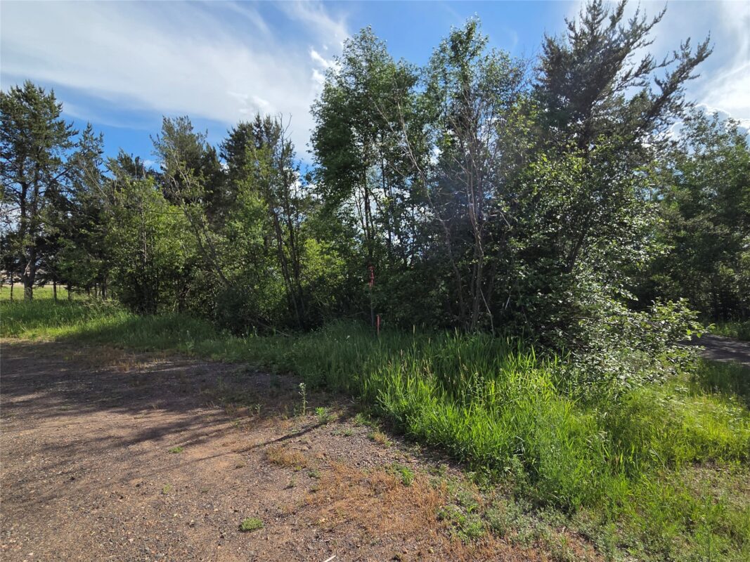 0000 Windrose Lane, Hayward WI 54843 - Land house for sale - MLS #1602645 - image2