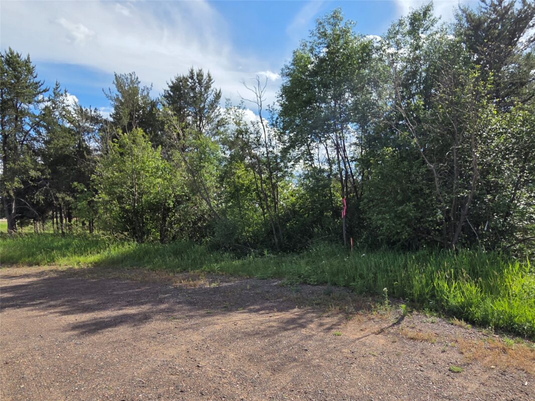 0000 Windrose Lane, Hayward WI 54843 - Land house for sale - MLS #1602645 - image3