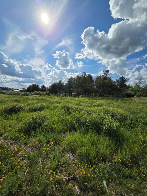0000 Windrose Lane, Hayward WI 54843 - Land house for sale - MLS #1602645 - image4