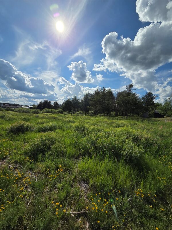 0000 Windrose Lane, Hayward WI 54843 - Land house for sale - MLS #1602645 - image5
