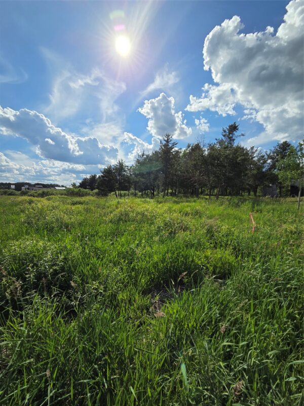 0000 Windrose Lane, Hayward WI 54843 - Land house for sale - MLS #1602645 - image6