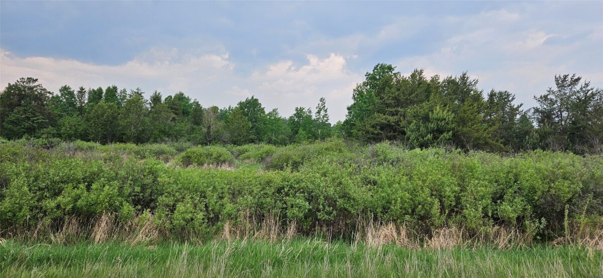 0000 Windrose Lane, Hayward WI 54843 - Land house for sale - MLS #1602645 - image7