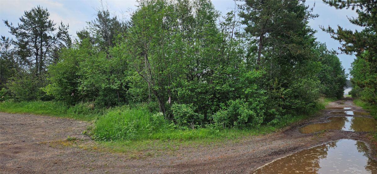 0000 Windrose Lane, Hayward WI 54843 - Land house for sale - MLS #1602645 - image9