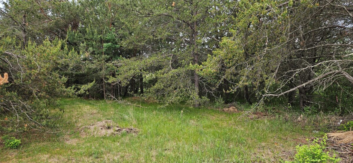 0000 Windrose Lane, Hayward WI 54843 - Land house for sale - MLS #1602645 - image10