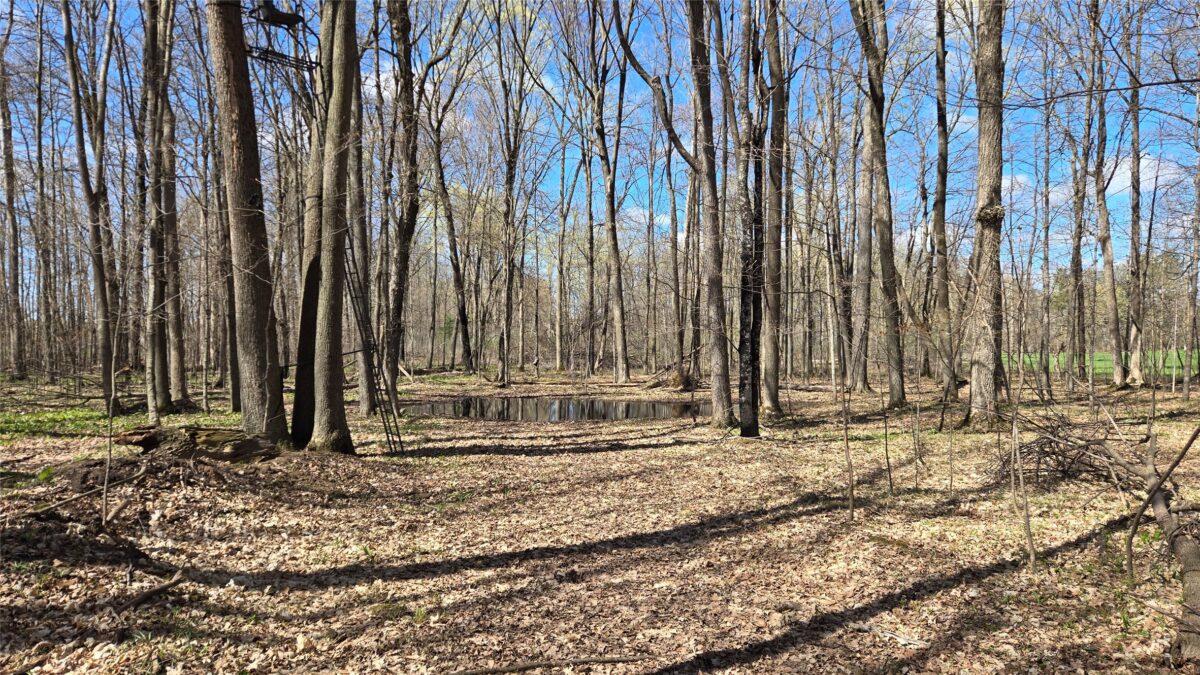 012345 26th Ave., Rice Lake WI 54868 - Land house for sale - MLS #1602600 - image11