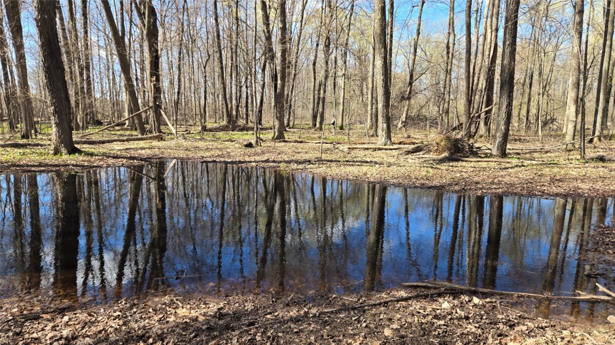 012345 26th Ave., Rice Lake WI 54868 - Land house for sale - MLS #1602600 - image12