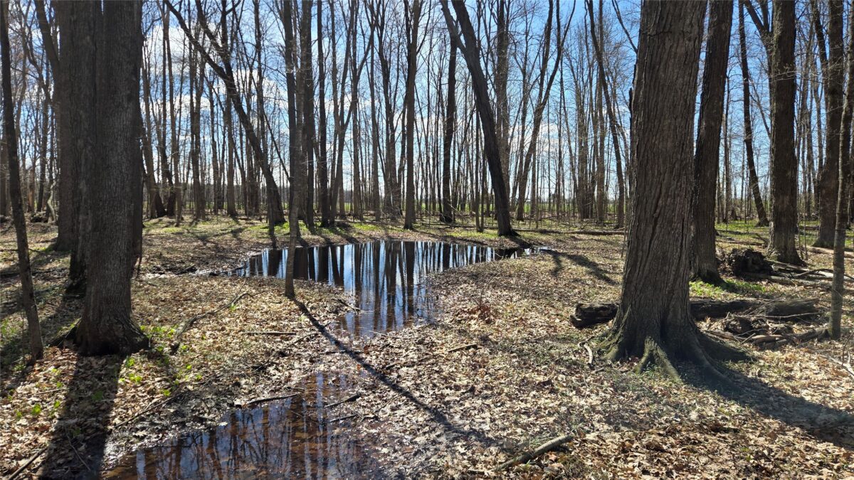 012345 26th Ave., Rice Lake WI 54868 - Land house for sale - MLS #1602600 - image13